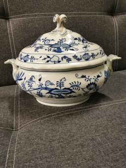 Cibulák Dubí. Terina