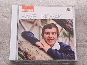PAVEL NOVÁK - Pop Galerie