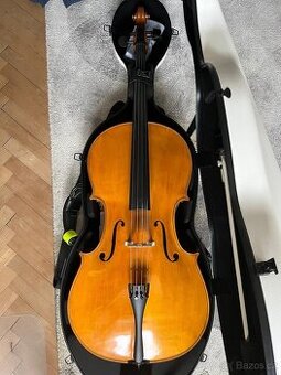 Violoncello 1/1