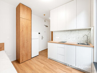 Pronájem ateliéru 1+kk, Na Větrníku, Břevnov, 15000 Kč/měs, 