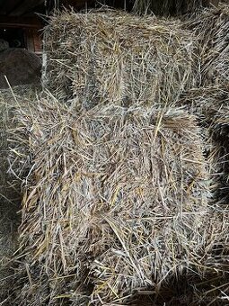 Sláma podestýlková malé balíky