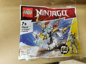 LEGO 30649 Ledový drak