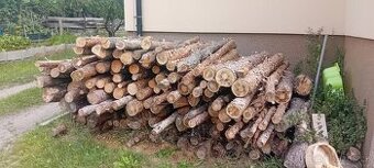 Palivové dřevo borovice 2m