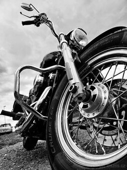 Harley Davidson Sportster XL 1200 C