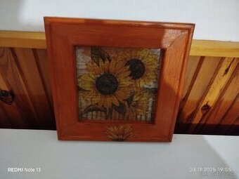 Obrázek slunečnice.