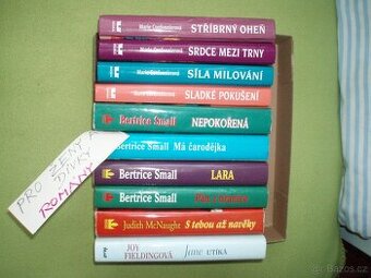 romány pro ženy a dívky Small, Cordonnierová