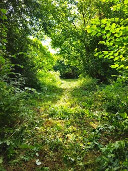 Prodej stavebního pozemku o rozloze 1644 m²v Senohrabech