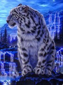 Bílý tygr - diamantové malování