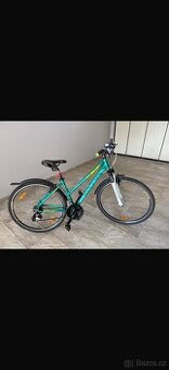 Kolo Kellys Clea 30