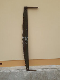 Břichatka Armi - 1
