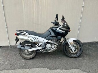 SUZUKI xf 650 freewind