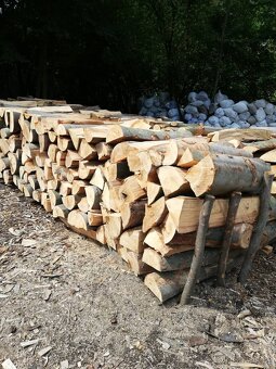 Palivové dřevo akce tvrdé přebytky pálivá