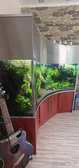 Velké akvárium s kompletní technikou