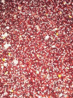 Kukuřice červená, žlutá