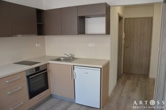 Pronájem prostorného bytu 1+1, 33 m2 - ul. Příkop, Brno
