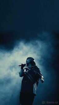 Prodám lístek na Billie Eilish