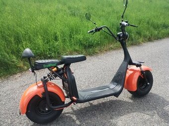 Elektrokoloběžka Ecowheel GR7 100W