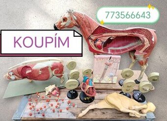 Staré školní pomůcky