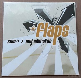 Vinyl Flaps - Kam? / Moj mikrofon 12”