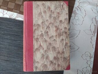 Fr. Kubka: Pražské nokturno