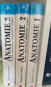 Anatomie Čihák