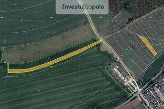 Prodej pole v k.ú. Lešany u Nelahozevsi