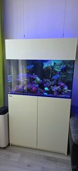 Redsea 250 + zivot + komplet vybava