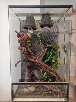 Terárium pro chameleona
