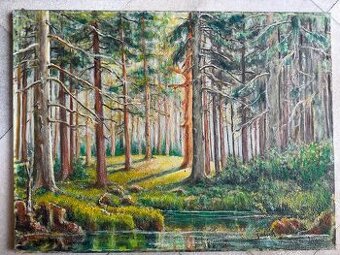 Obraz Krajina —