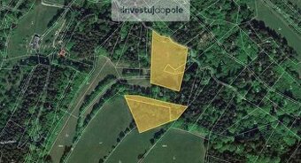 Prodej lesních pozemků a louky v k.ú. Helkovice - 1
