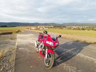 Suzuki SV1000