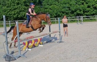 Pony klisna