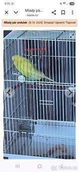 Mlade andulky i s kleci