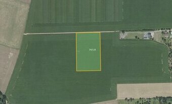 Zemědělská půda, prodej, Křenice, Praha východ