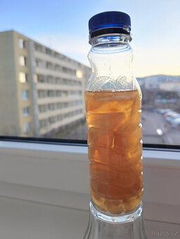 KOMBUCHA - čajová houba vč. nálevu - viz text