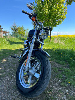 Harley-Davidson XL 1200C Sportster Custom - výměna