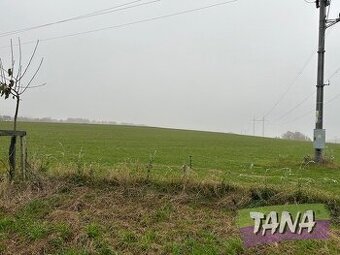 Prodej pozemků v obci Mírová pod Kozákovem ,část Bělá