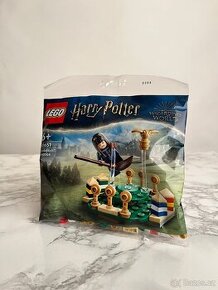 LEGO® Harry Potter™ 30651 Famfrpálový trénink (polybag)