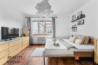 Pronájem, byty/1+1, 39.55 m2, Lexova 2252, Zelené Předměstí,