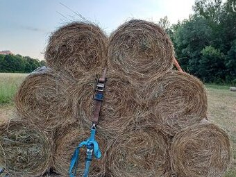 Seno, letošní otavu, malé kulaté balíky, vázané do sítě