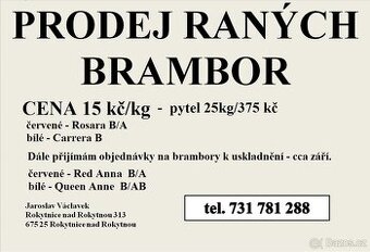 Ranné, nové brambory
