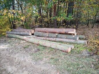 Modřínová kulatina dl. 4,0 m