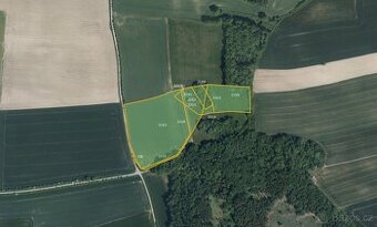 Zemědělská půda, prodej, Očelice, Rychnov nad Kněžnou - 1