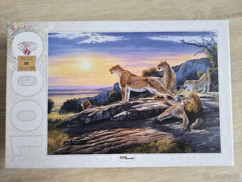 Step Art Lion Smečka Lvi před lovem puzzle 1000ks