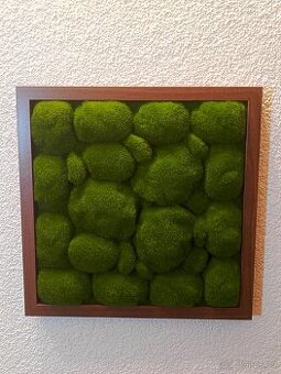 Mechový obraz 33 cm