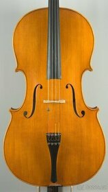 mistrovské violoncello Josef Holpuch