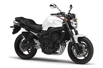 Koupím Yamaha fz6n