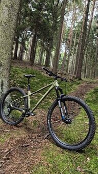 Qayron spyro 29" M "Hajney"