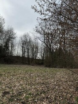 Prodáme pozemky v k.ú. Spálov - 1