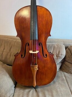Violoncello